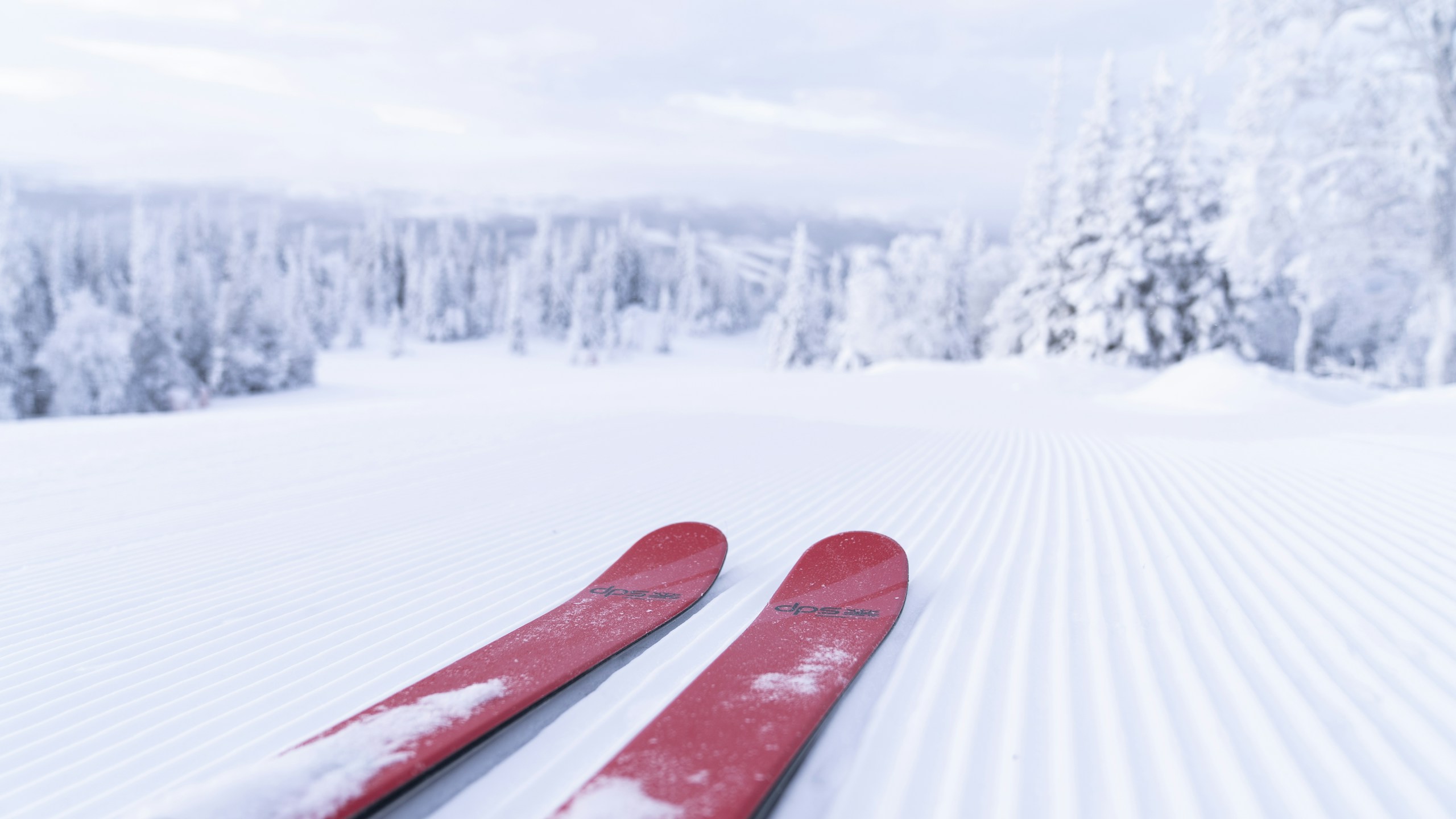 Why We Ski the Skis We Ski - Skis on mountain snow